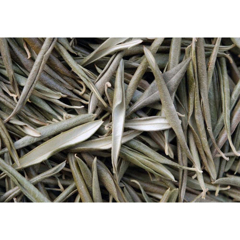 Zeytin Yaprağı 50 Gr