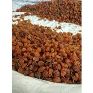 Çekirdeksiz Üzüm Doğal (Kg)