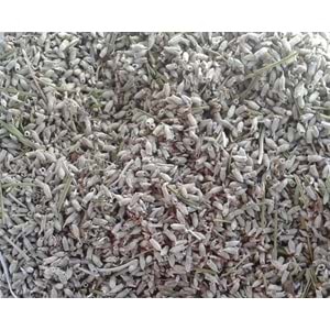 Lavanta Çiçeği 50 Gr